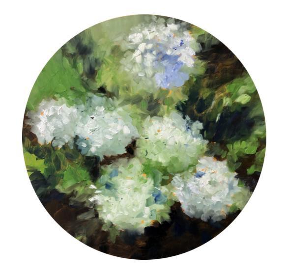 Circular cavas painting of hydrangeas