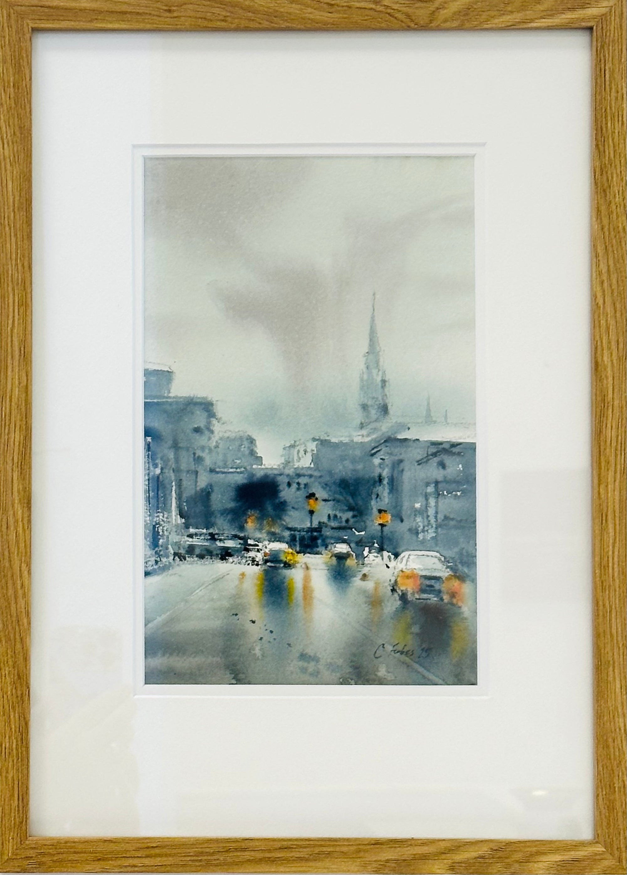 Grey Day, Dunedin