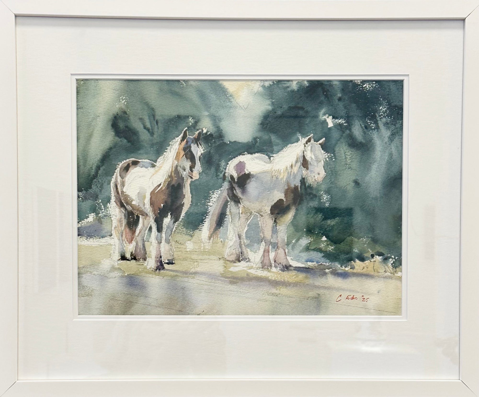 Two Horses, in Sunshine