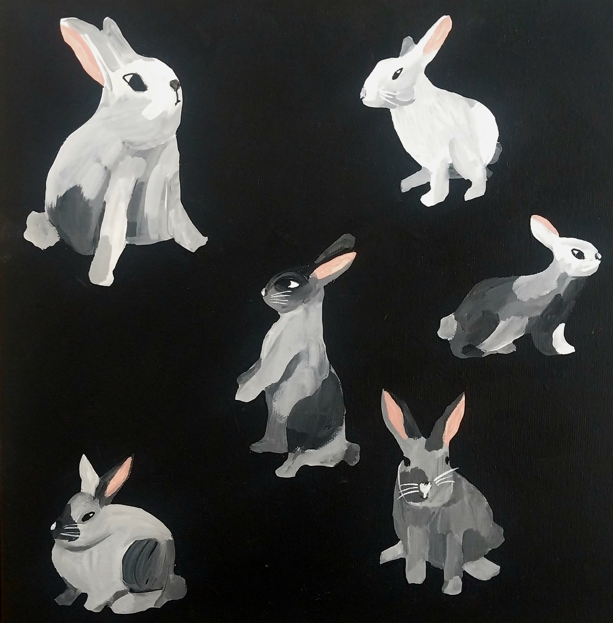 The Bunnies