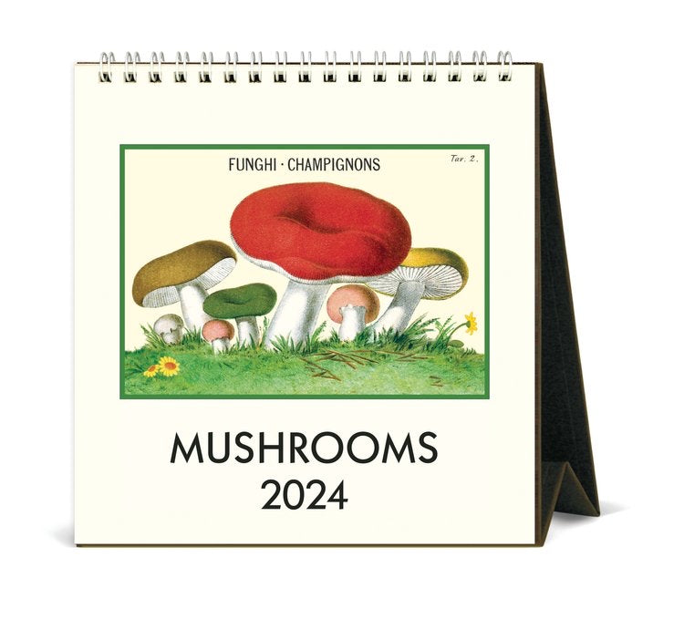 Cavallini Mushrooms Calendar 2024