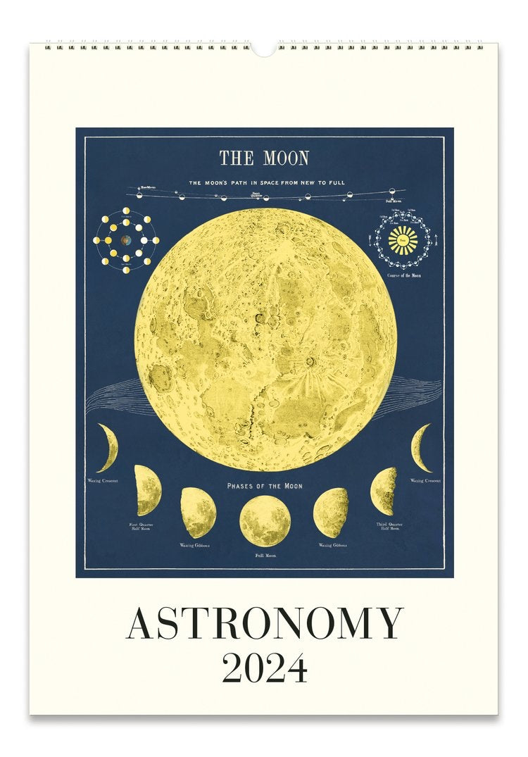 Cavallini Astronomy Calendar 2024