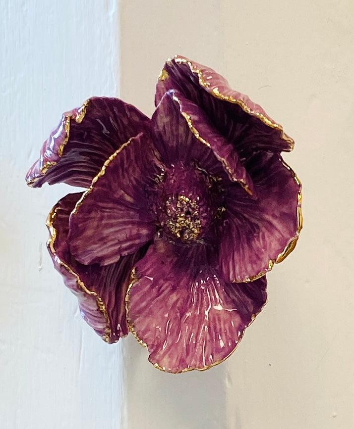 Wallflower Purple