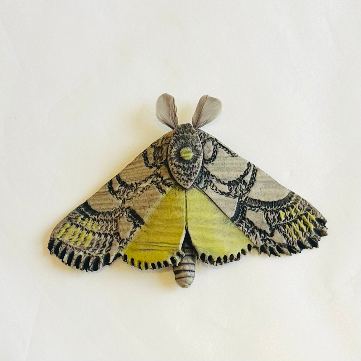 Green Clay moth