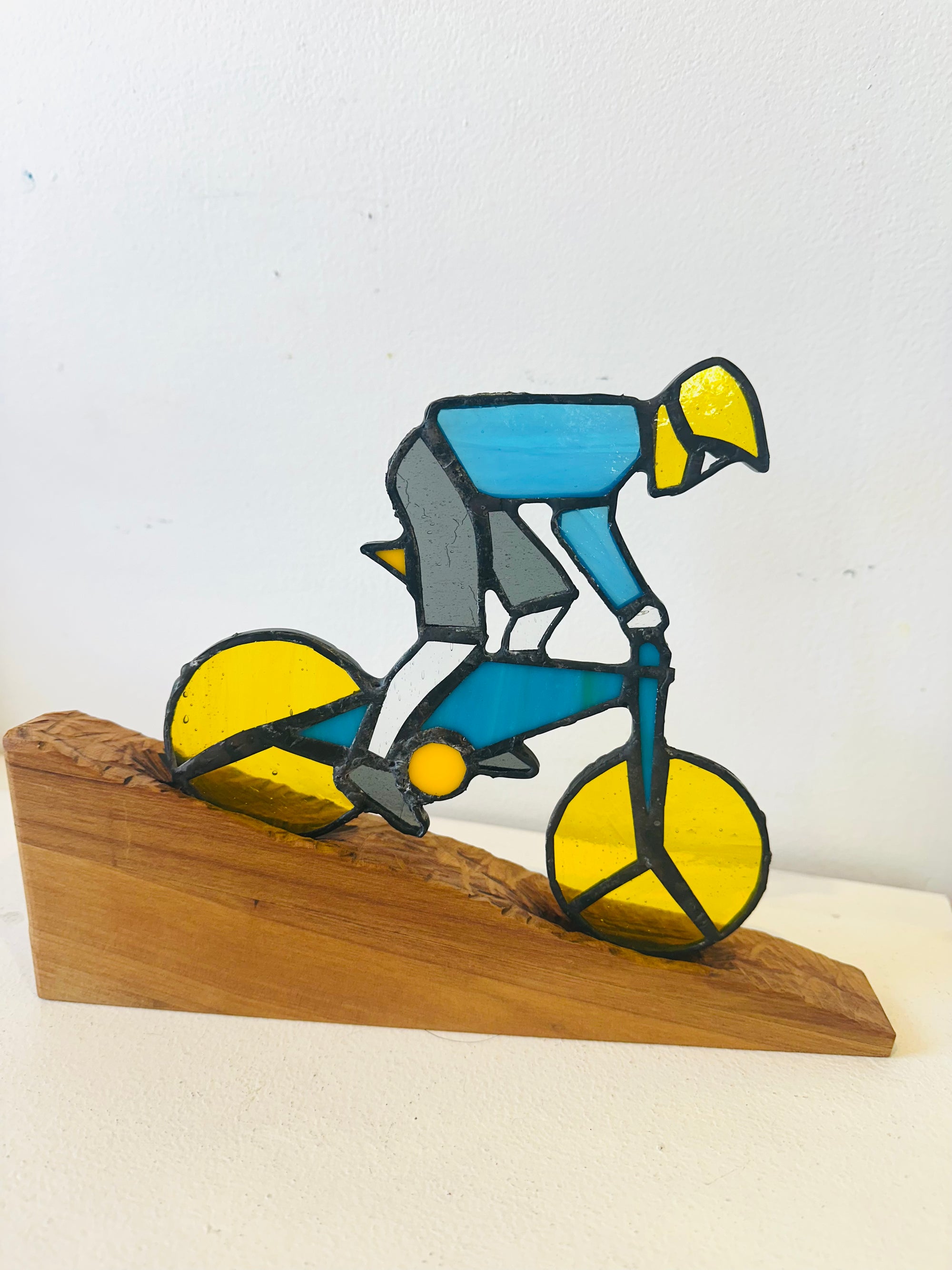 Rimu Ridge Biker
