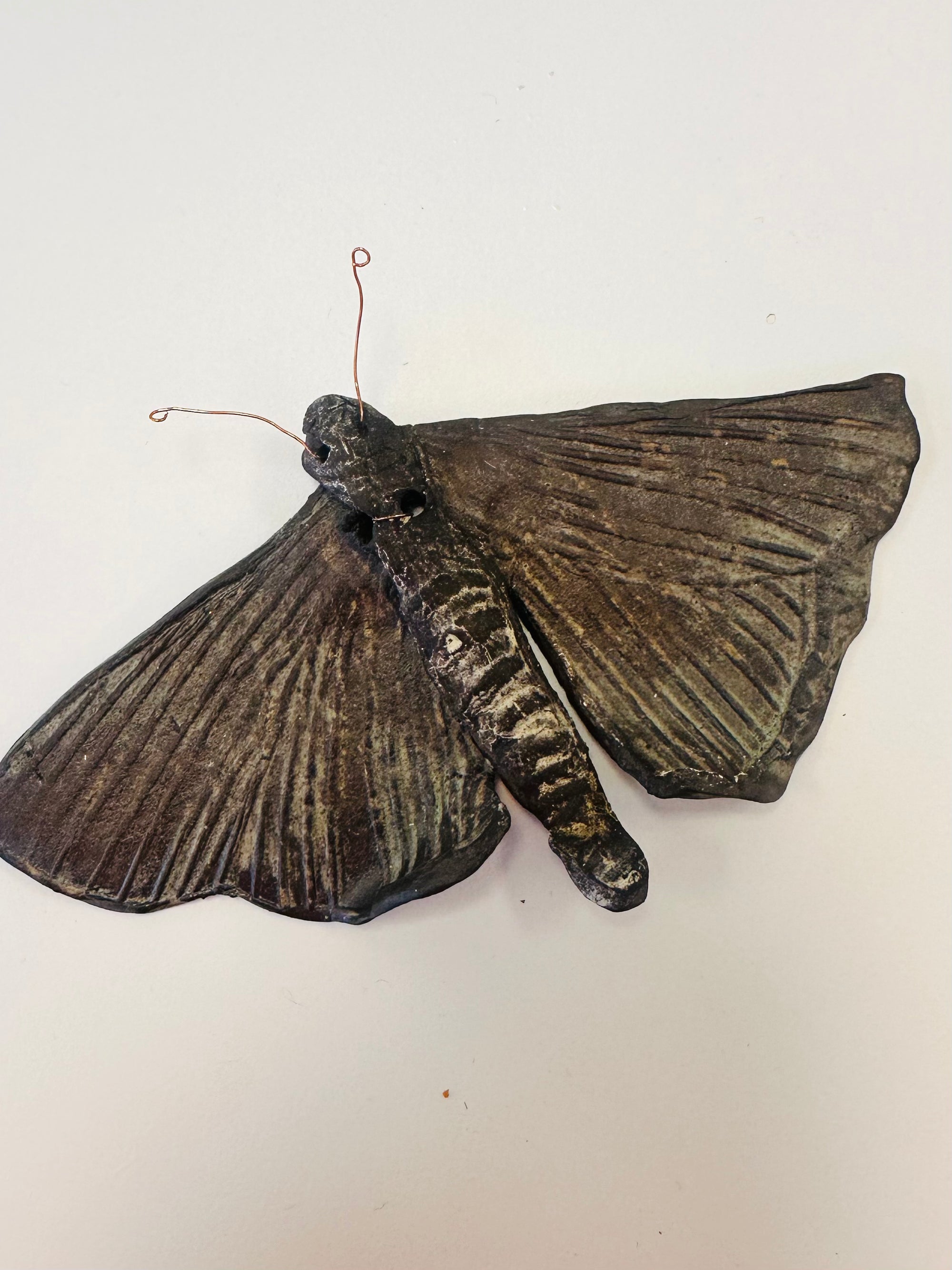 Moth Sculpture ||