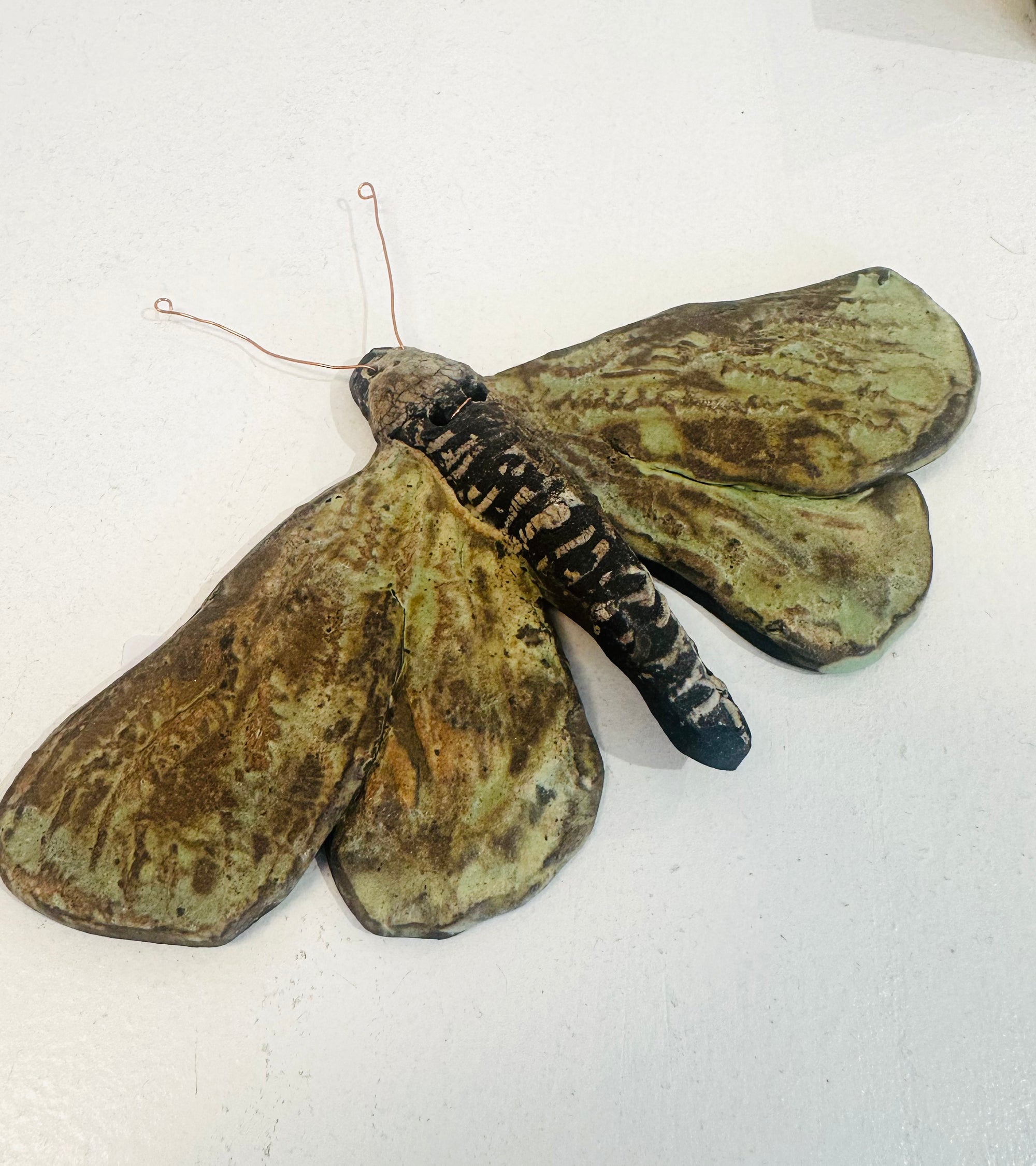 Moth Sculpture ||