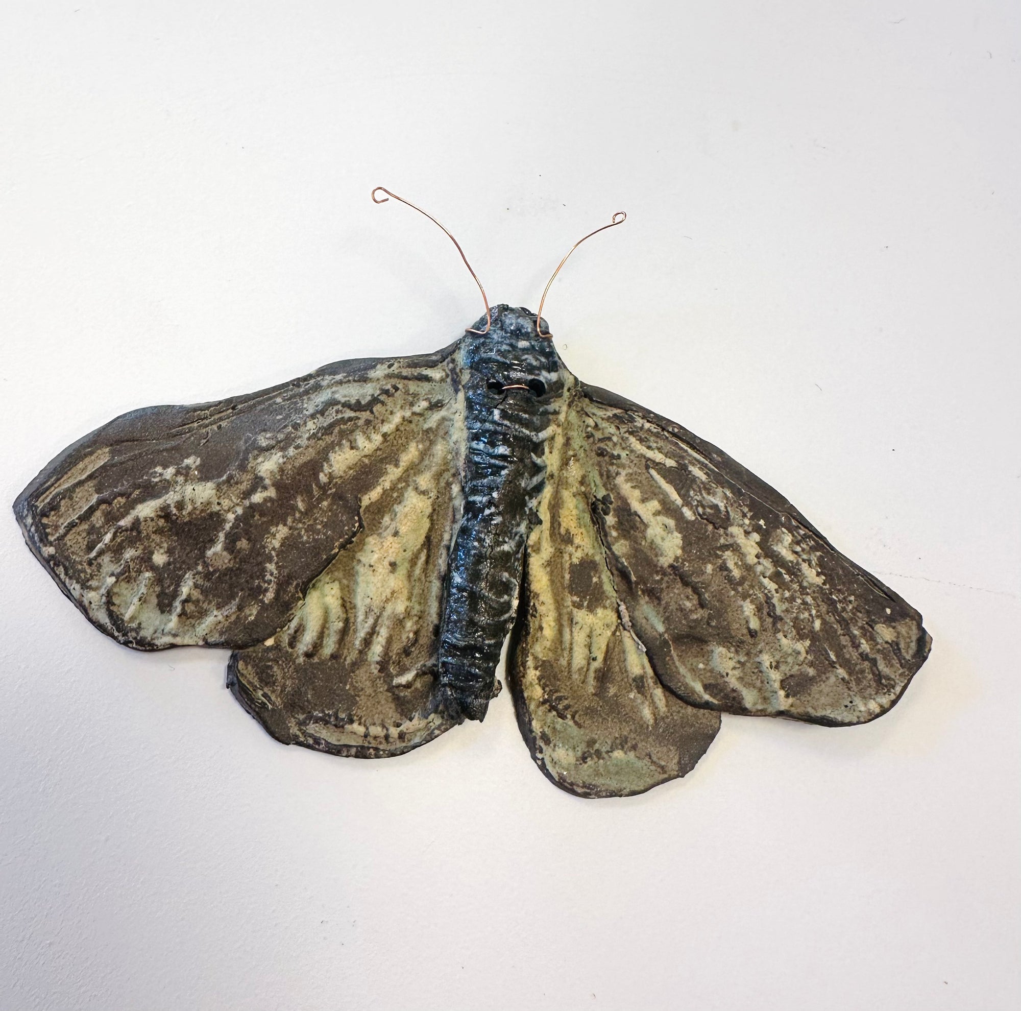 Moth Sculpture |||