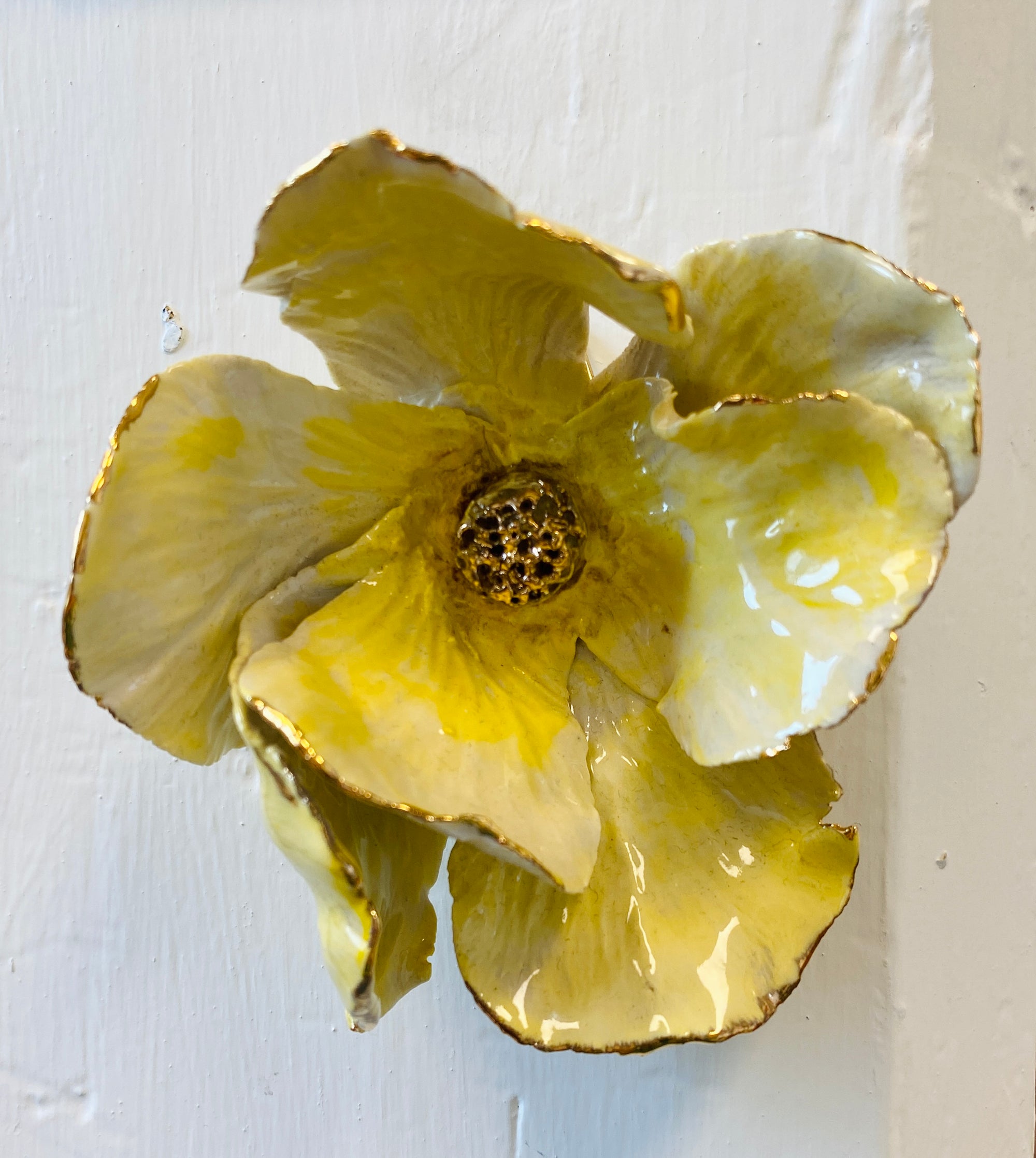 Wallflower Yellow