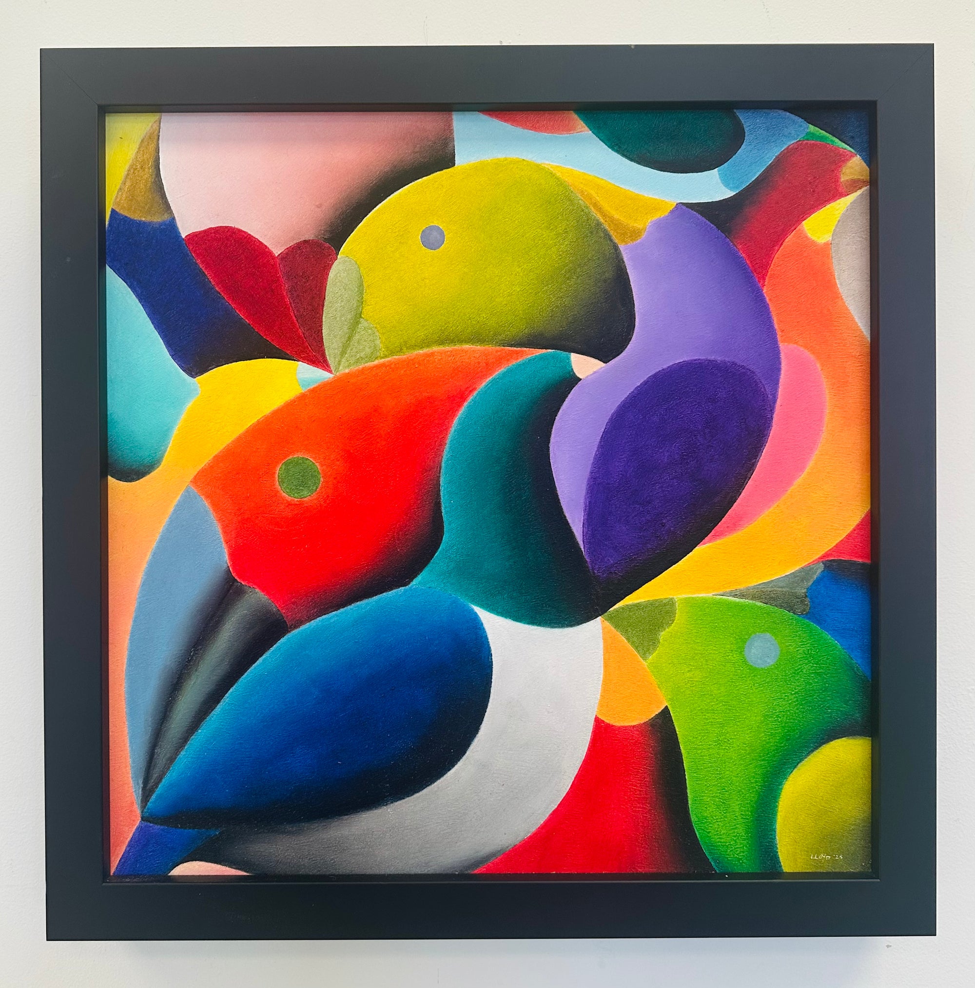 Ornithologist Dreaming