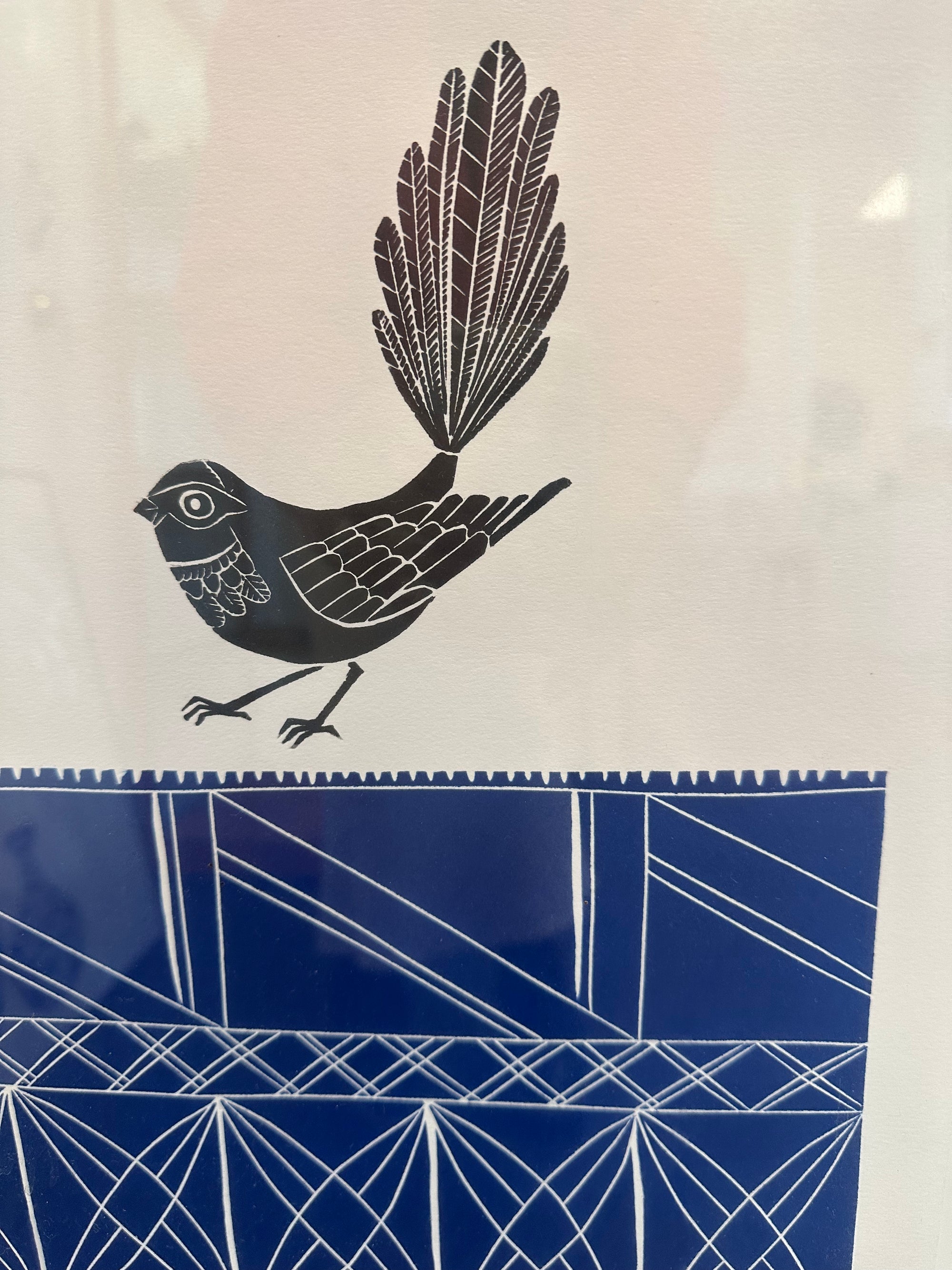 Pacific Blue with Fantail