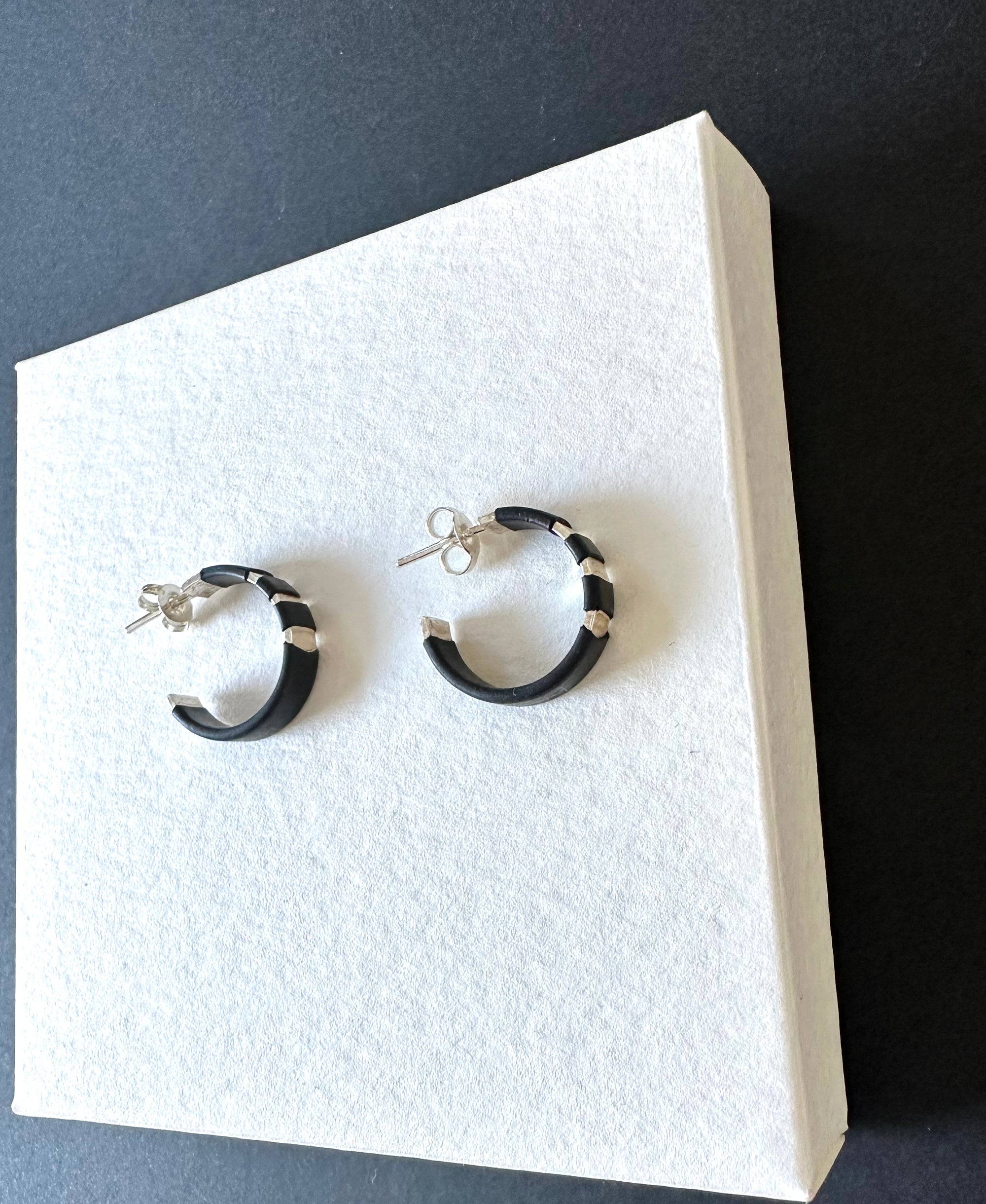 Small Silver Hoop Earrings with fused rubber