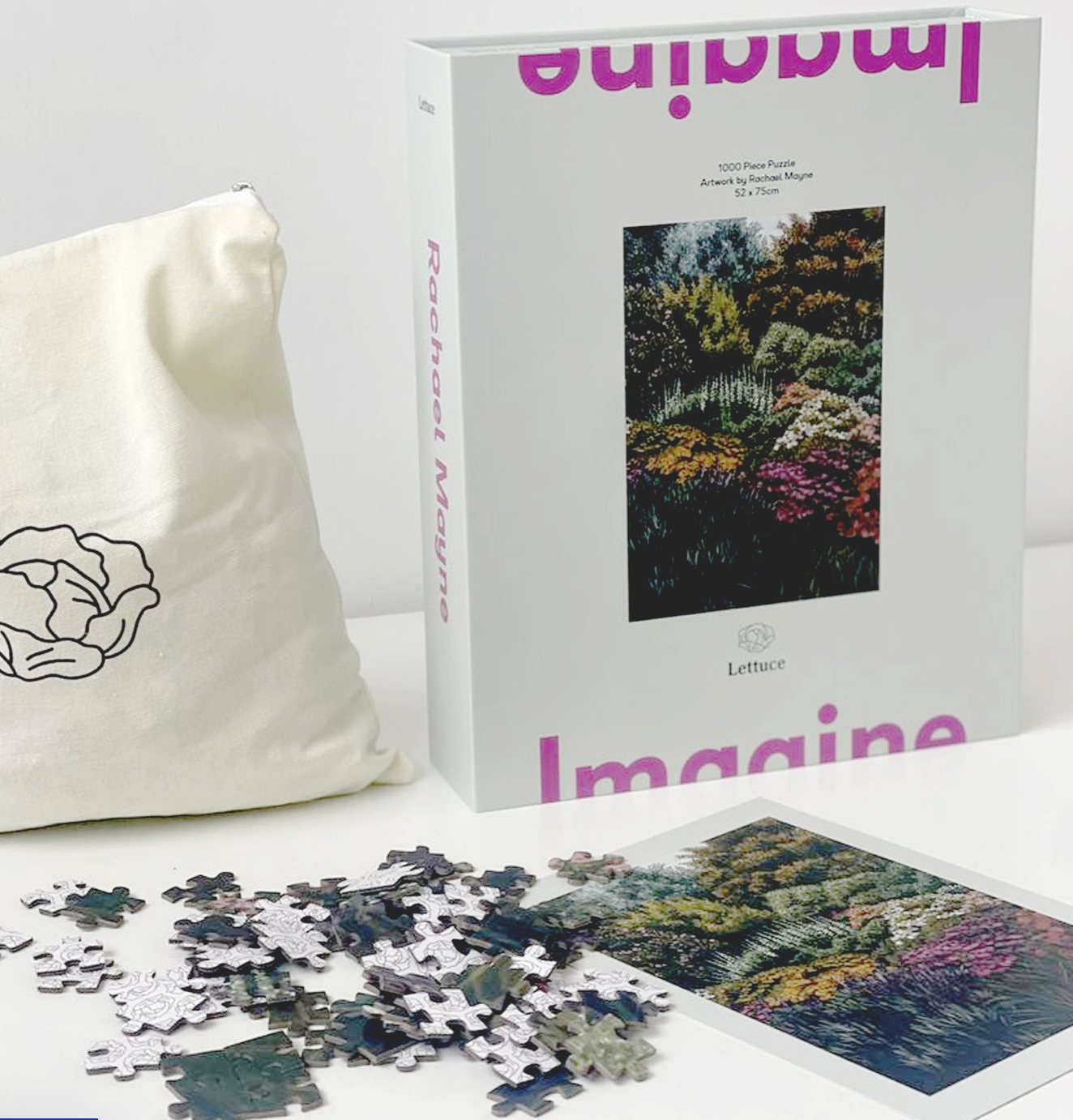 Imagine | Rachael Maine | Puzzle