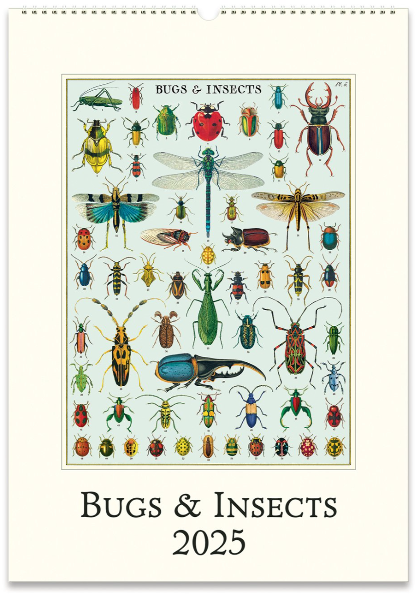 Cavallini Bugs & Insects Calendar 2025