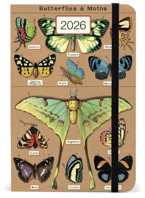 Butterflies & Insects 2026 Weekly Planner