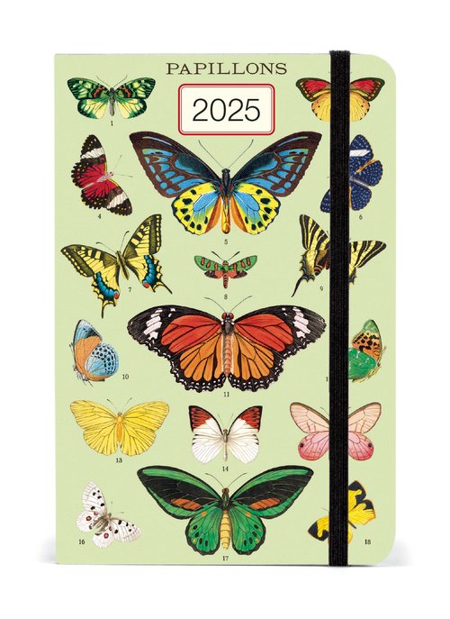 Cavallini Papillons 2025 Weekly Planner